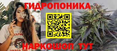 Альфа ПВП Тара